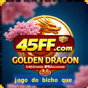 jogo do bicho que paga no pix